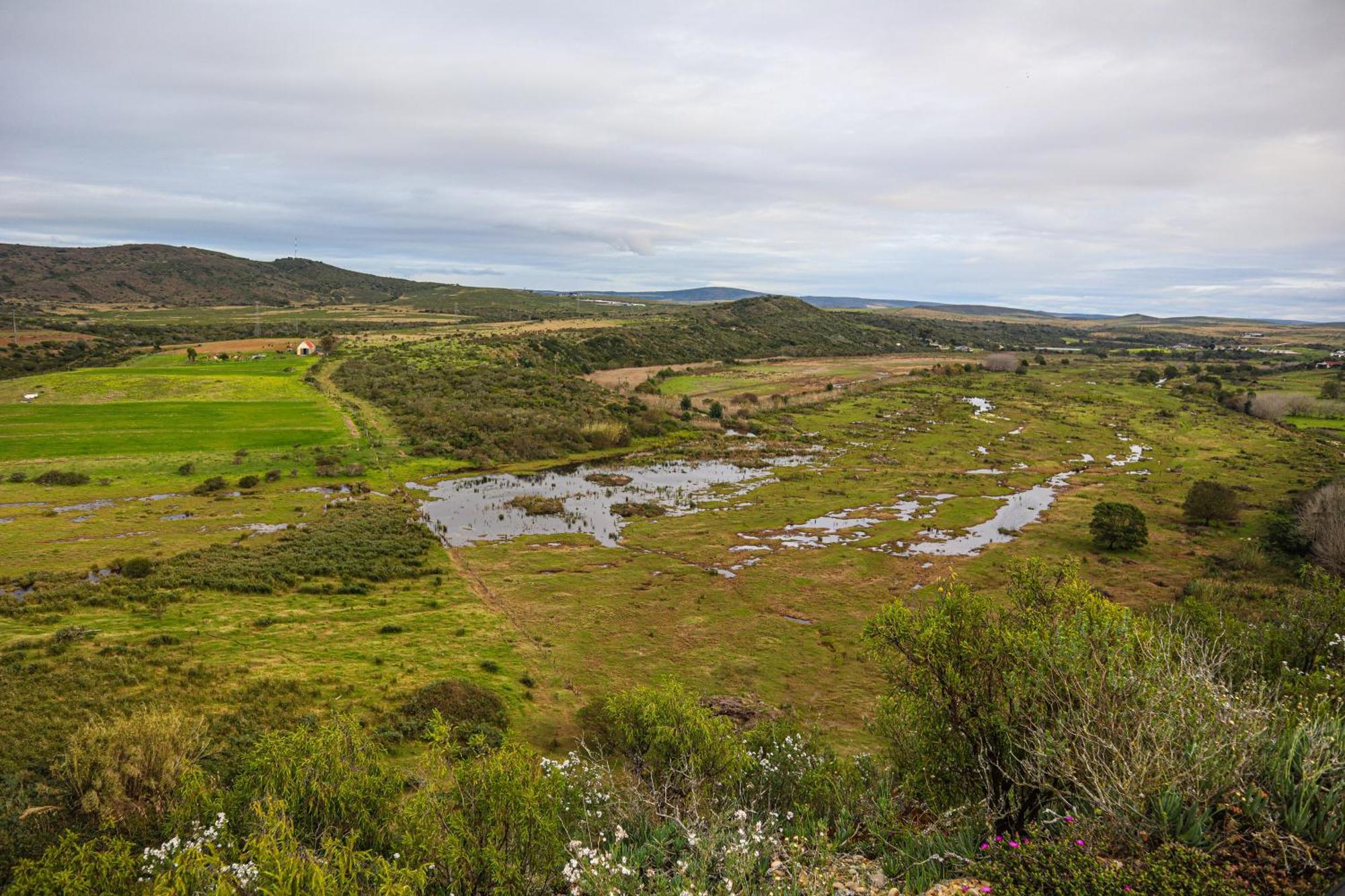 Outeniquabosch Lodge Hartenbos Luaran gambar