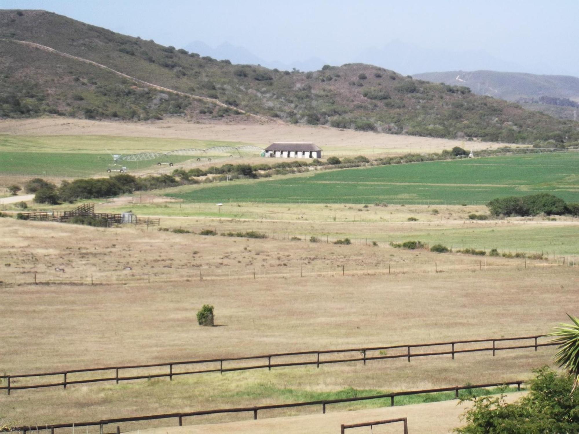 Outeniquabosch Lodge Hartenbos Luaran gambar